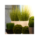 Illustration for article titled Bring Home the Garden of Freshness Inside Premium Flower Vasesem/em